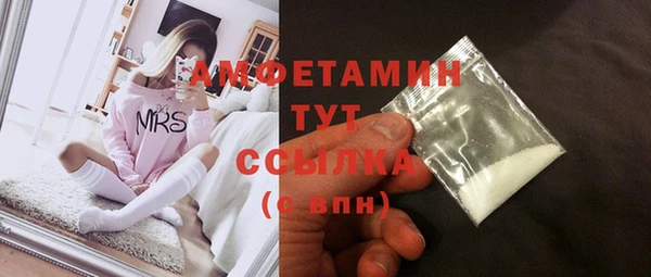 гашик Арсеньев