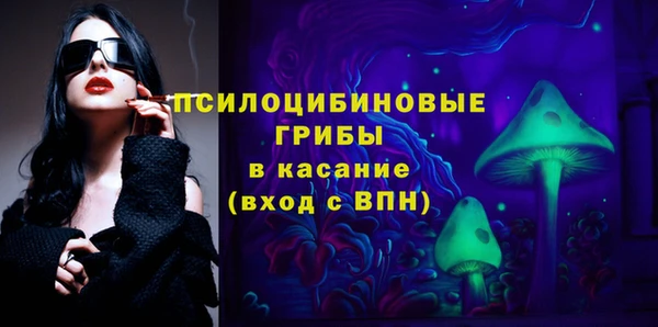 гашик Арсеньев