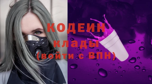 гашик Арсеньев