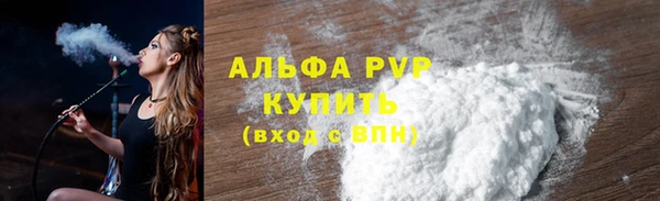 гашик Арсеньев