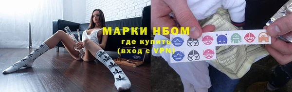 ГАЛЛЮЦИНОГЕННЫЕ ГРИБЫ Аркадак