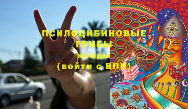 ГАЛЛЮЦИНОГЕННЫЕ ГРИБЫ Аркадак