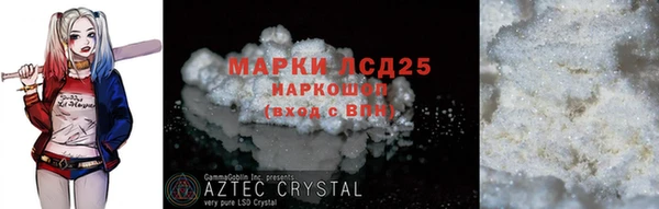 ГАЛЛЮЦИНОГЕННЫЕ ГРИБЫ Аркадак