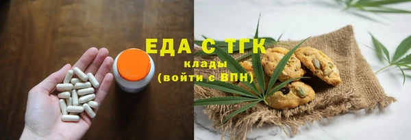 гашик Арсеньев