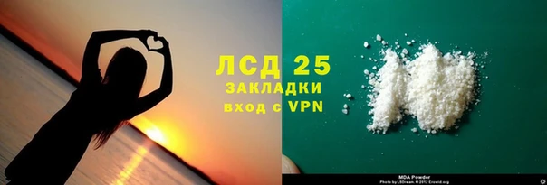 ГАЛЛЮЦИНОГЕННЫЕ ГРИБЫ Аркадак