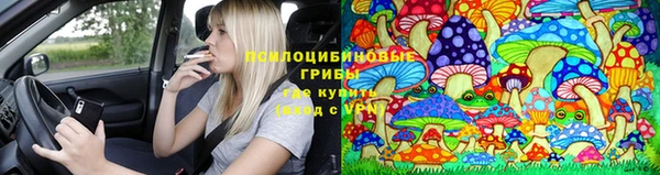ГАЛЛЮЦИНОГЕННЫЕ ГРИБЫ Аркадак
