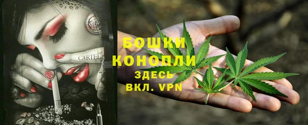 гашик Арсеньев